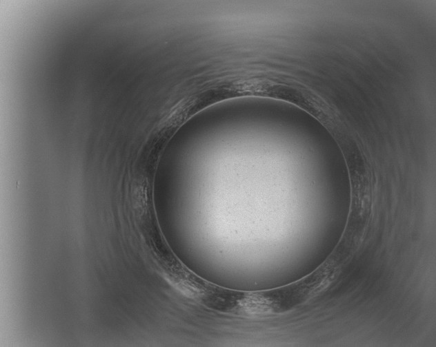 X0000061120603200511241712