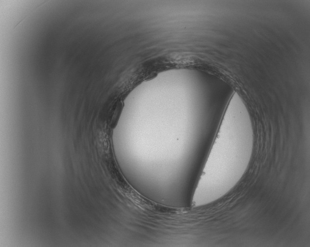 X0000061120609200511241712