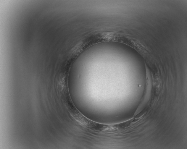 X0000061120611200511241712