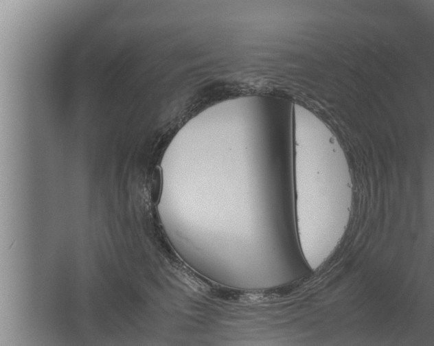 X0000061120613200511241712