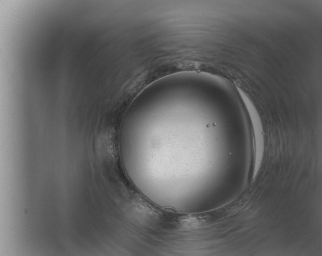 X0000061120616200511241712