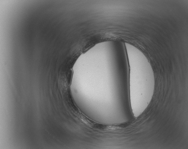 X0000061120617200511241712