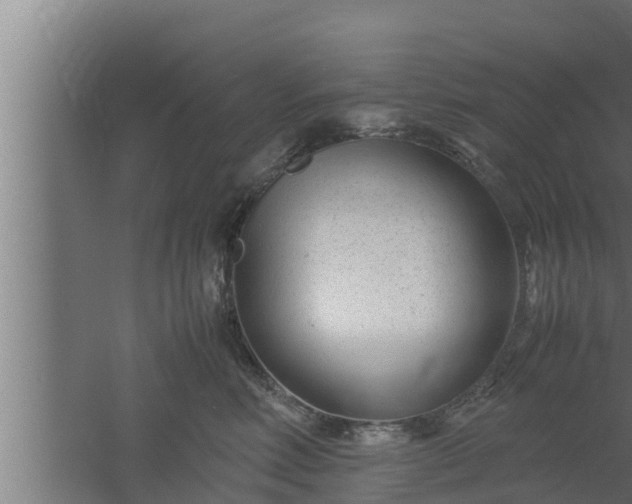 X0000061120618200511241712