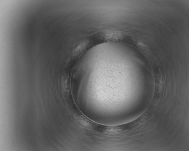 X0000061120619200511241712