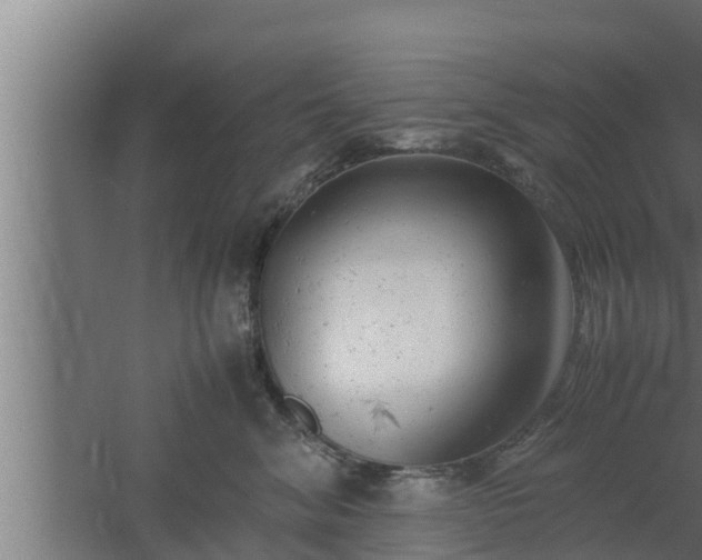 X0000061120620200511241712