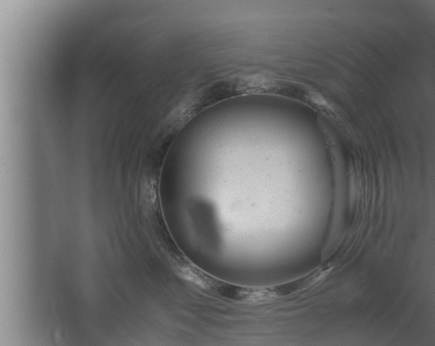 X0000061120621200511241712