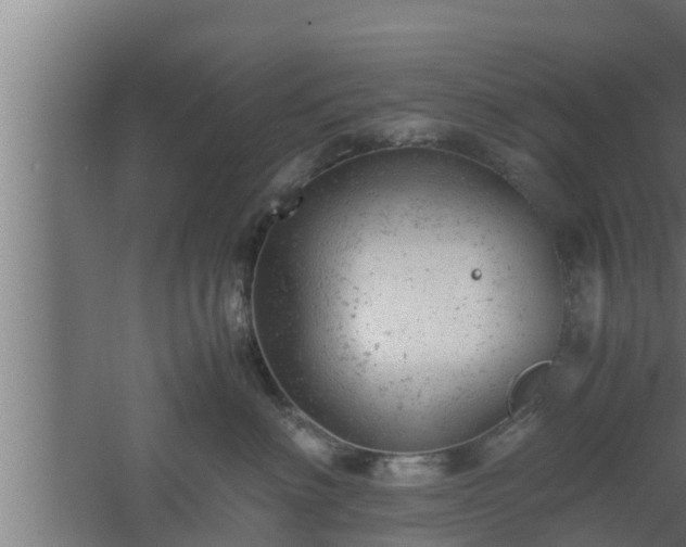 X0000061120622200511241711