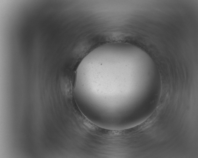 X0000061120624200511241711