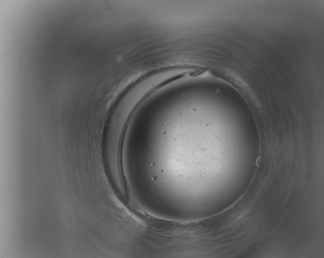 X0000061120625200511241711