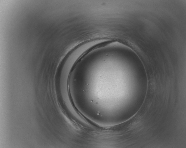 X0000061120626200511241711