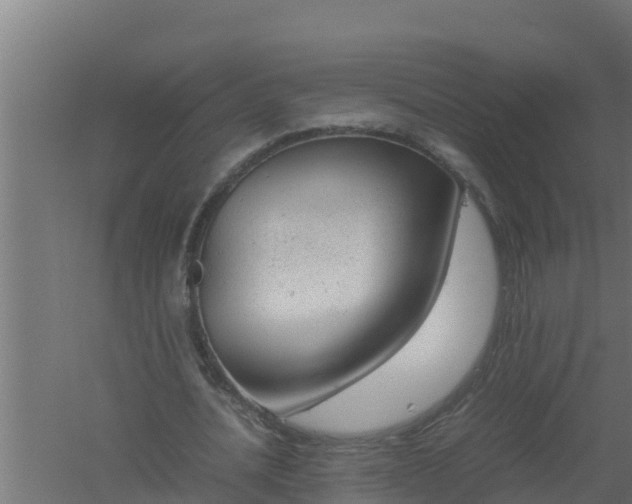 X0000061120628200511241711