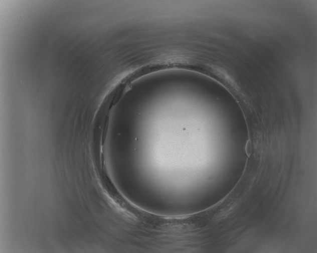 X0000061120629200511241711