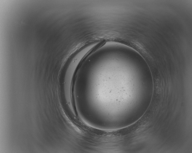 X0000061120634200511241711