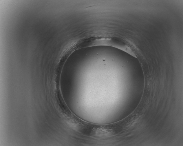 X0000061120635200511241711