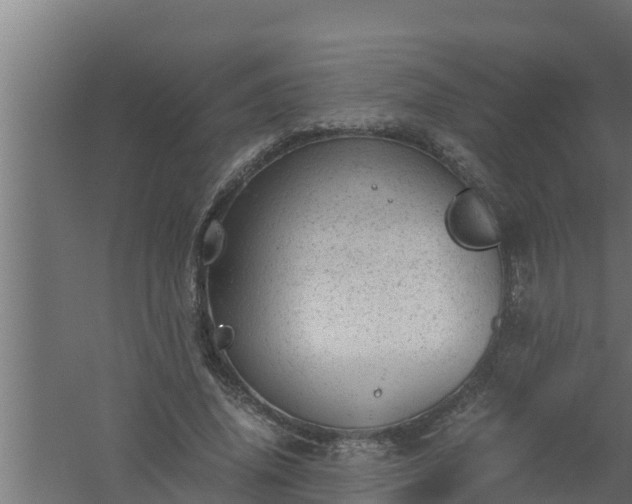 X0000061120636200511241711