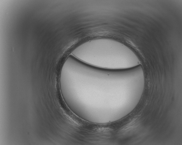 X0000061120637200511241711