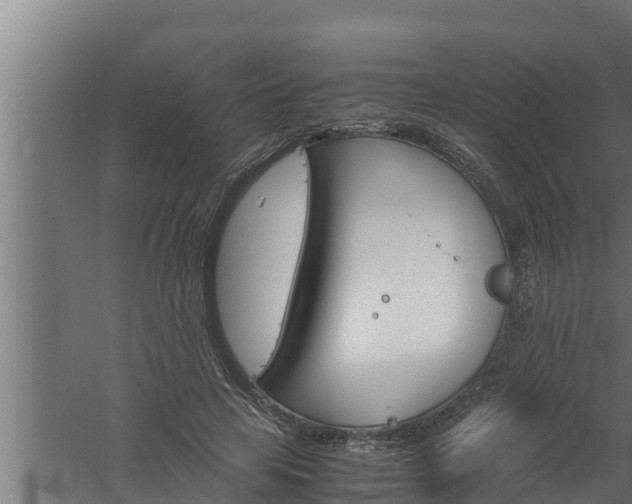 X0000061120641200511241711