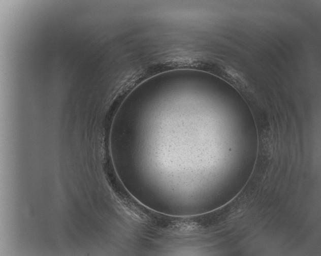 X0000061120642200511241711