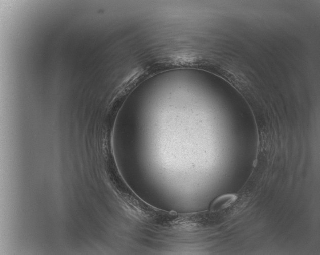 X0000061120648200511241711