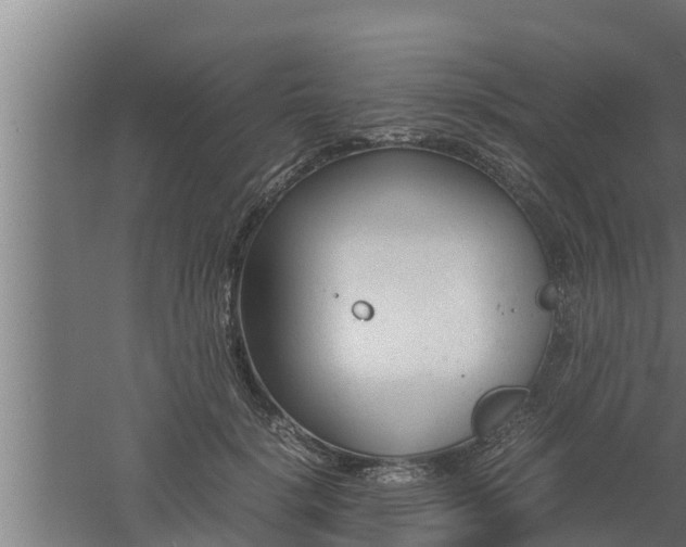 X0000061120652200511241711