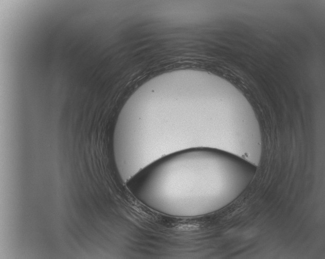 X0000061120653200511241711