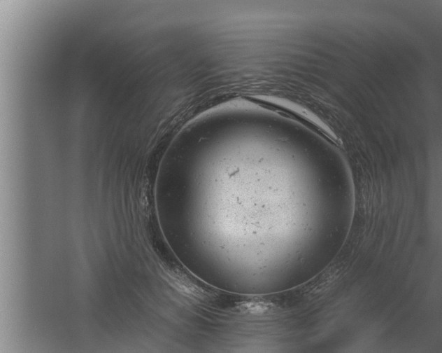 X0000061120654200511241711