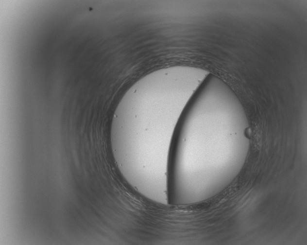 X0000061120657200511241711