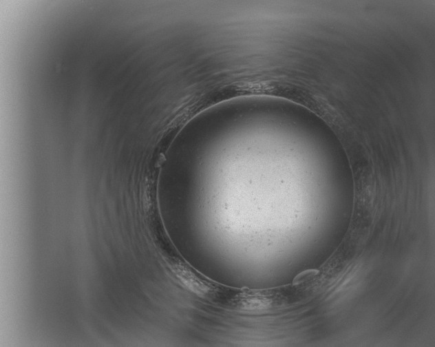 X0000061120658200511241711