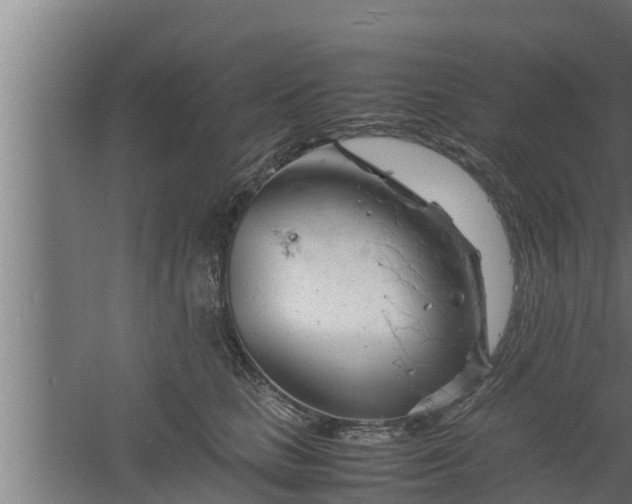 X0000061120661200511241711