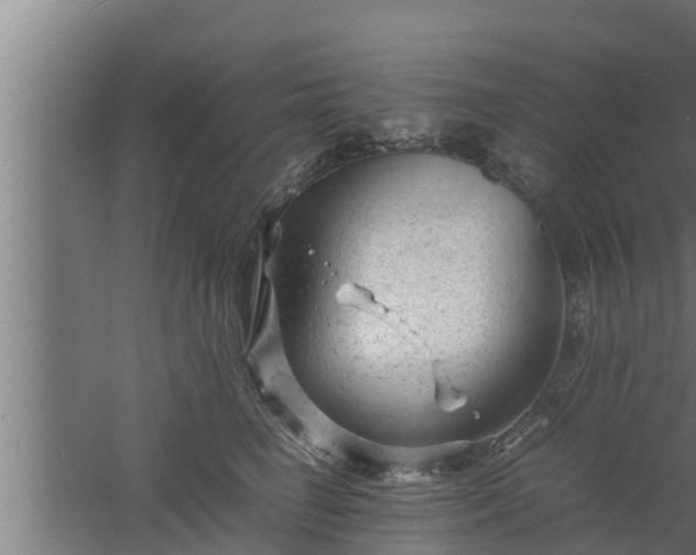 X0000061120662200511241711