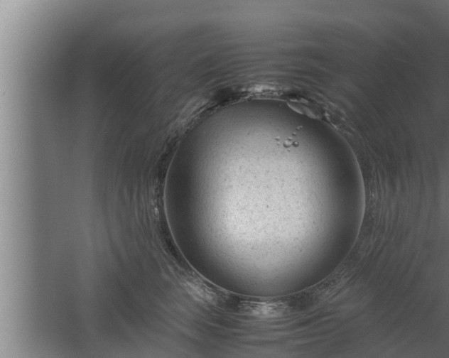 X0000061120663200511241711