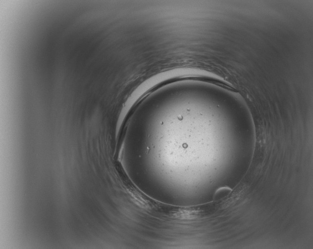 X0000061120664200511241711