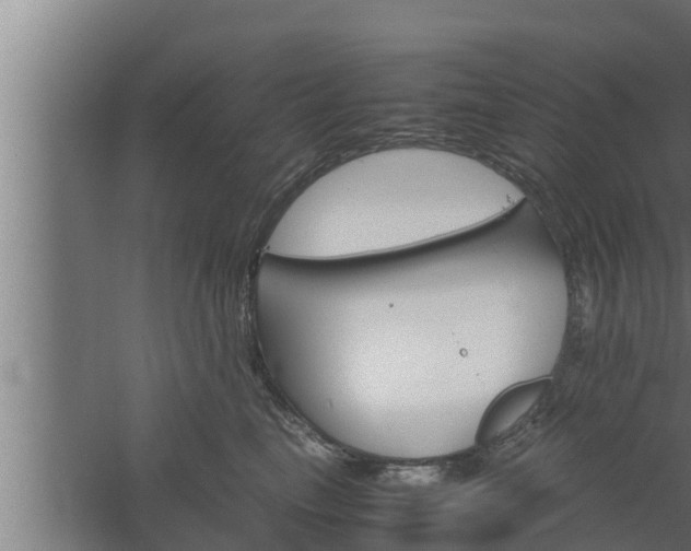 X0000061120665200511241711