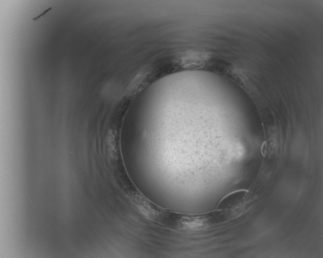 X0000061120667200511241711