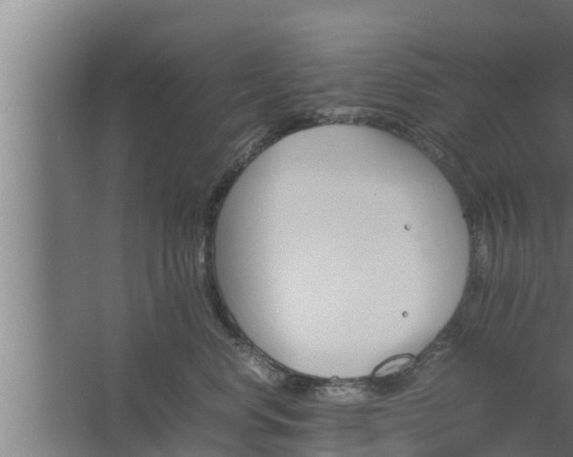 X0000061120668200511241711