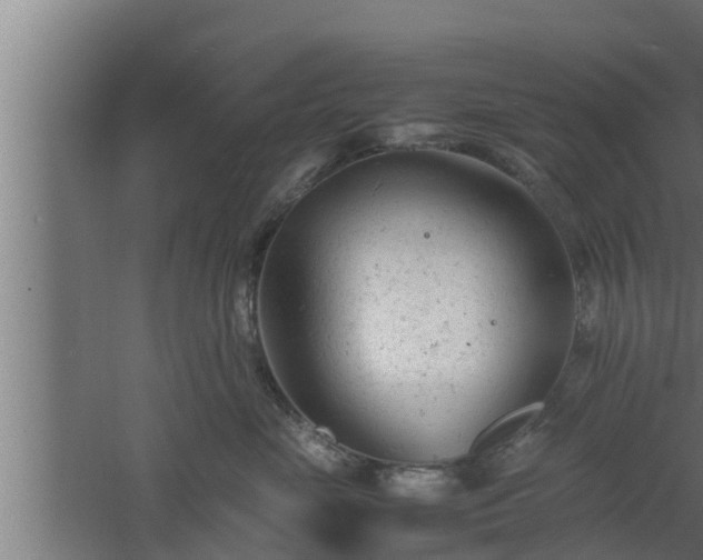 X0000061120669200511241711