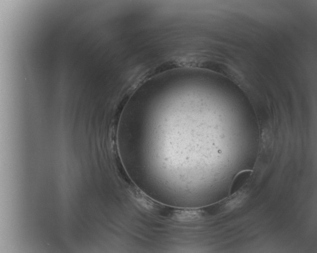 X0000061120671200511241711