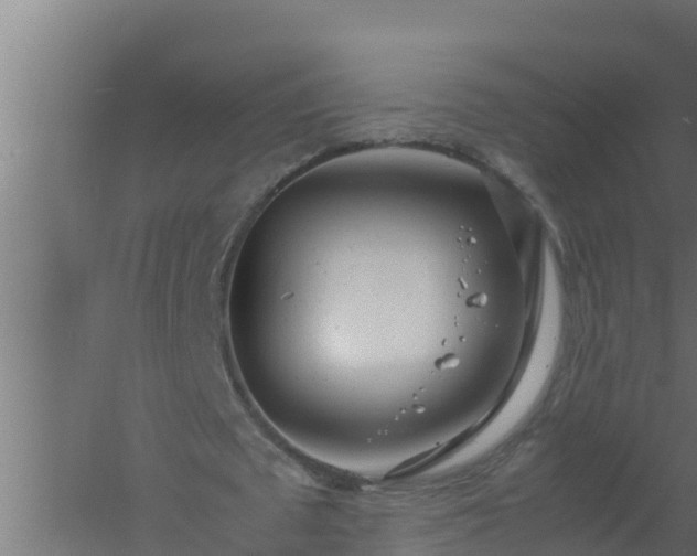 X0000061120673200511241711