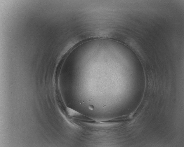 X0000061120674200511241711