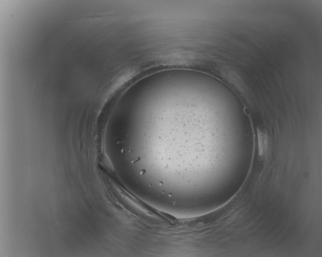 X0000061120675200511241711