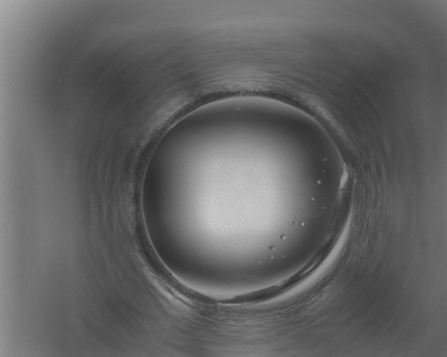 X0000061120677200511241711