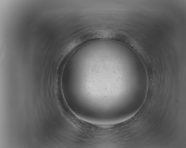 X0000061120679200511241710