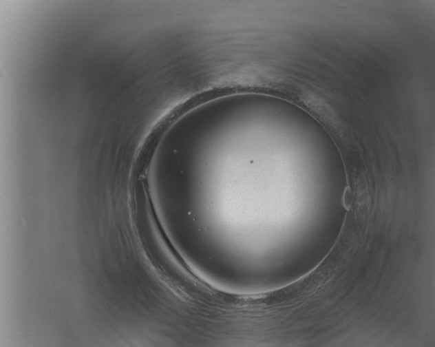 X0000061120680200511241710