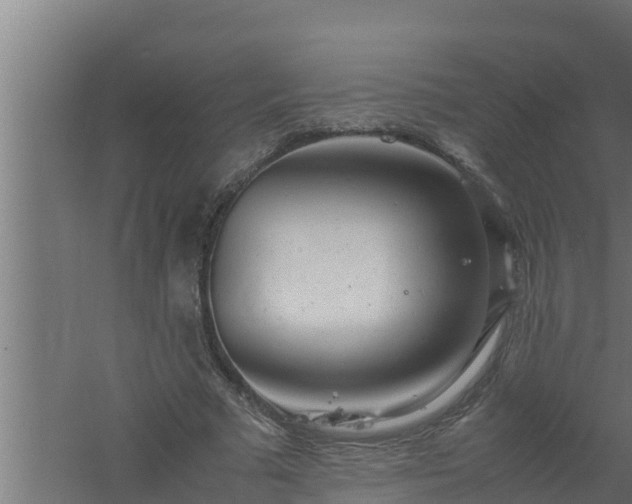 X0000061120681200511241710