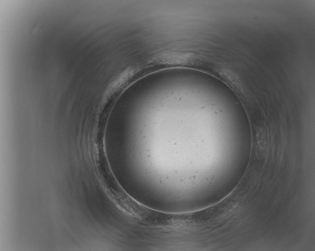 X0000061120682200511241710