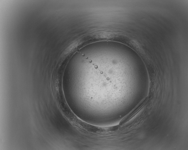 X0000061120683200511241710