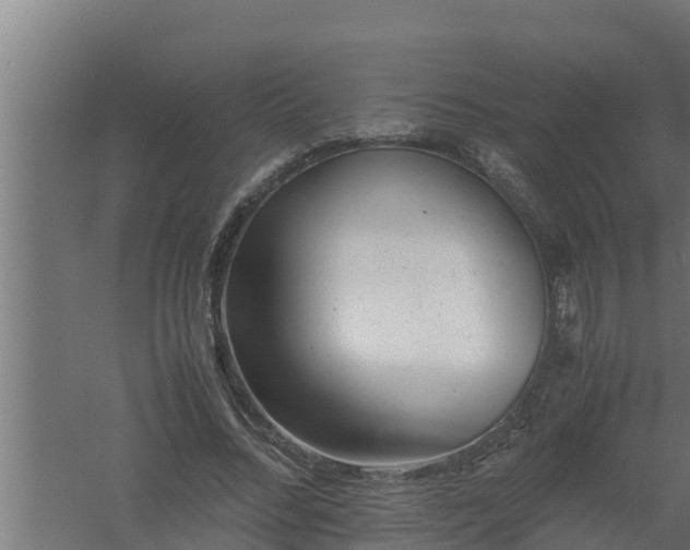 X0000061120684200511241710