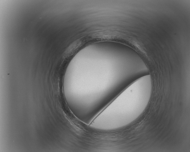 X0000061120685200511241710