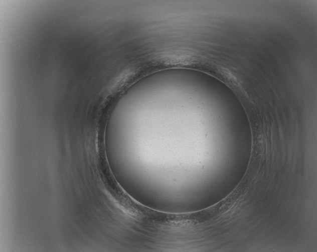 X0000061120686200511241710