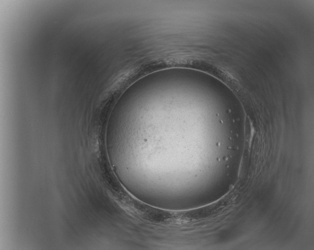 X0000061120687200511241710